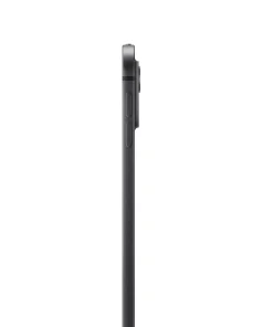 iPad Pro 11 inç WiFi 1TB Standart Cam Uzay Siyahı MVVE3TU/A -3
