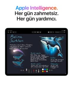 iPad Air 11 inç Wi-Fi + Cellular M4 Apple Intelligence