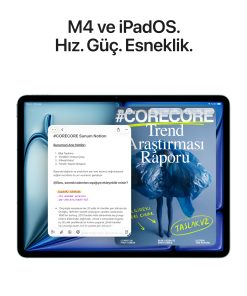 iPad Air 13 inç M4 Wi-Fi + Cellular Çip